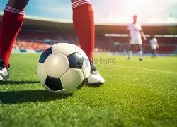 篮球星光璀,杰伦,格林的巨星,赢彩网,彩票平台,安全购彩,在线投注,彩票分析