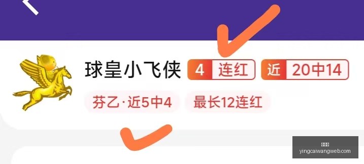 世界杯淘汰,赛前瞻,荷兰摩洛哥,赢彩网,彩票平台,安全购彩,在线投注,彩票分析