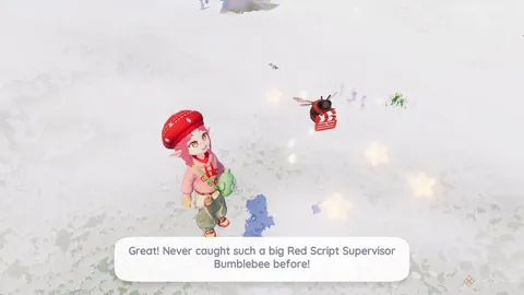 多特迎战马竞信心满满，拜仁望在温布利完美对决