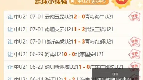 赢彩网，安全购彩， 060800